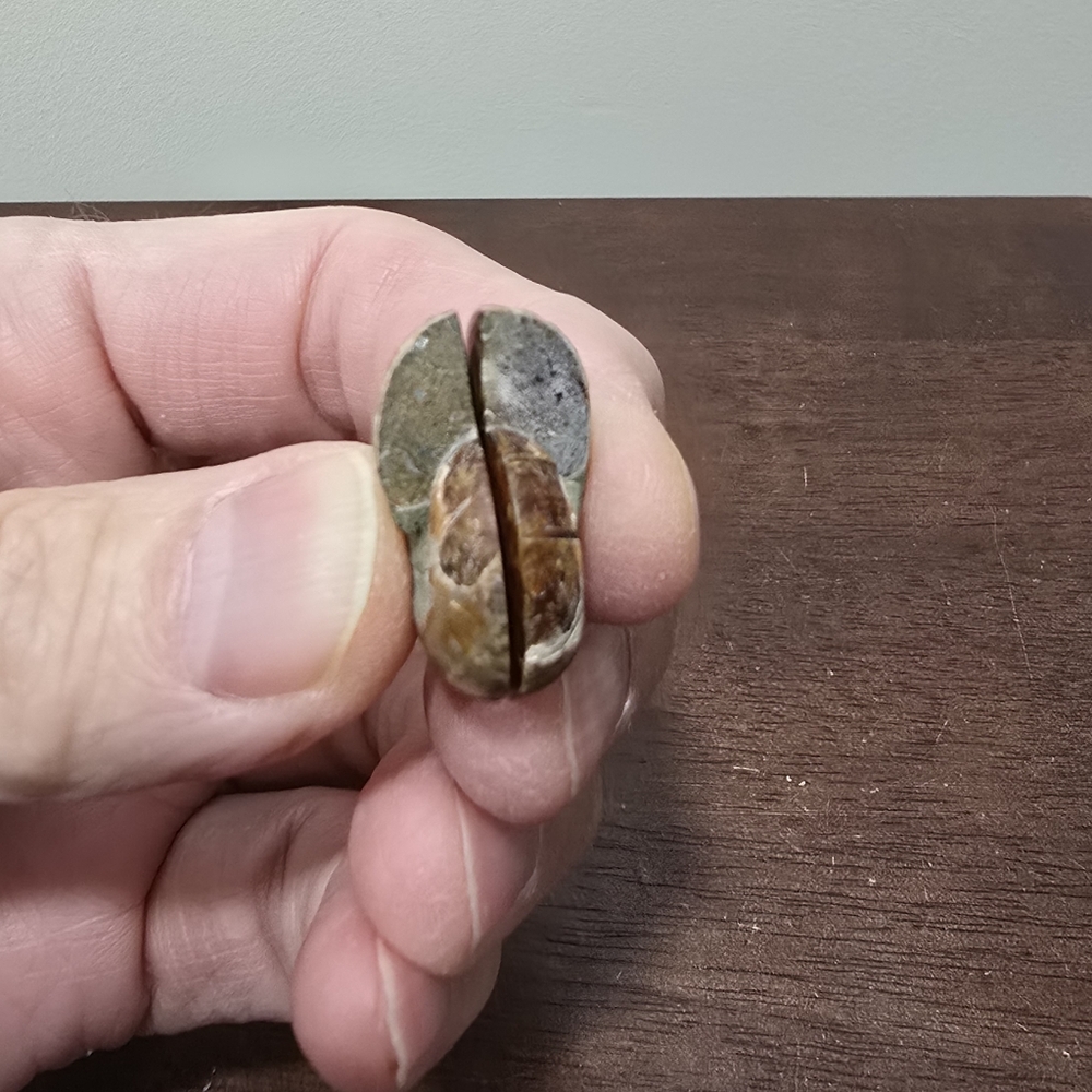 Ammonite Crystal Fossils #B - Picture 4 of 5